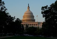 A MAGA-style budget